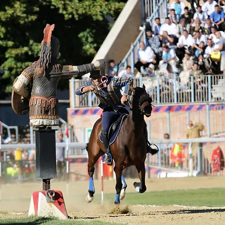 Pensión Auditorium 3*